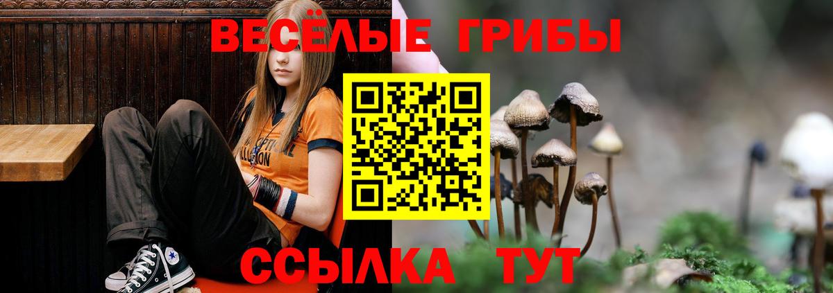 Галлюциногенные грибы прущие грибы Абакан